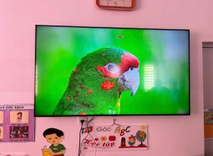 Dự án sửa tivi Giang Châu Hải Phòng