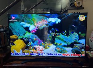 Dự án sửa tivi Giang Châu Hải Phòng